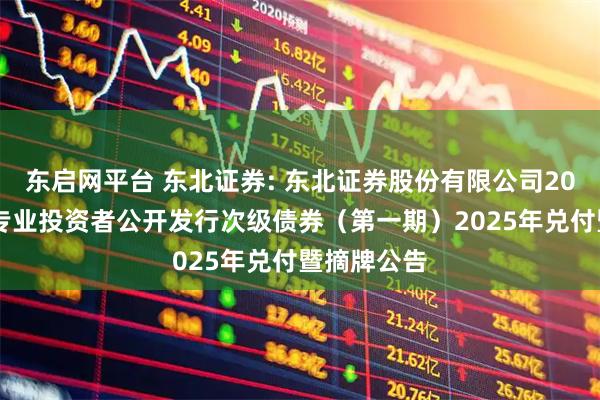 东启网平台 东北证券: 东北证券股份有限公司2022年面向专业投资者公开发行次级债券(第一期)2025年兑付暨摘牌公告