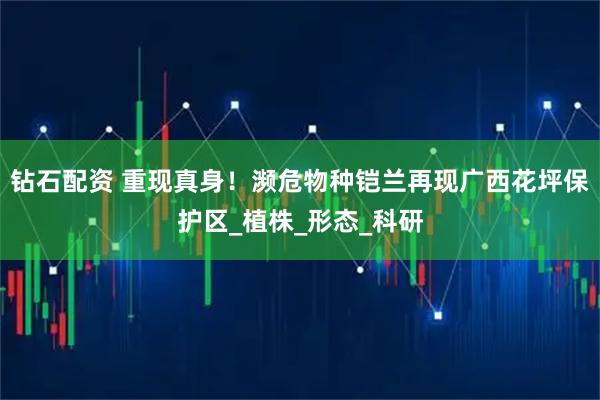 钻石配资 重现真身!濒危物种铠兰再现广西花坪保护区_植株_形态_科研
