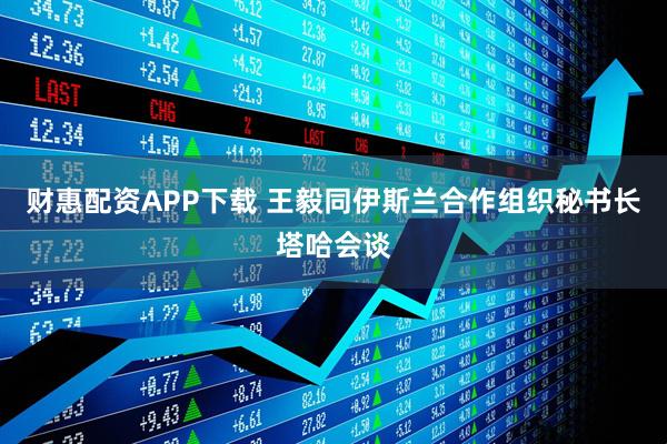 财惠配资APP下载 王毅同伊斯兰合作组织秘书长塔哈会谈